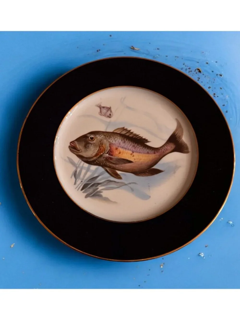 Set x 5 Vintage JWK Bavaria 10” Dinner Plates Fish Cobalt Gold Trim W. Germany